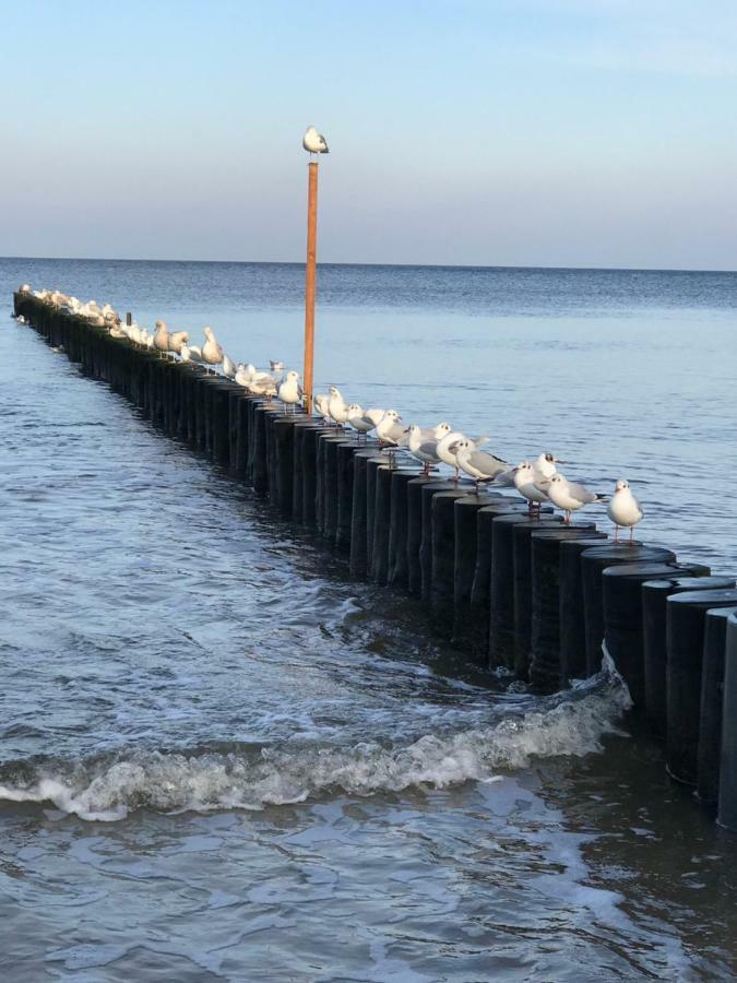 Apartament „Nova Polana” Kolobrzeg Polanki Park 外观 照片